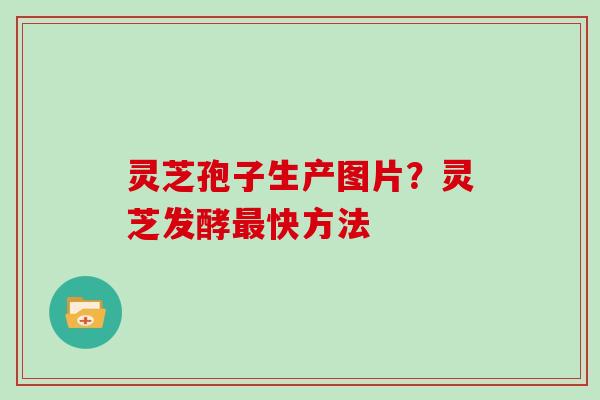 灵芝孢子生产图片？灵芝发酵最快方法