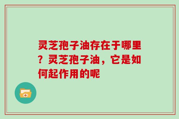灵芝孢子油存在于哪里?灵芝孢子油,它是如何起作用的呢