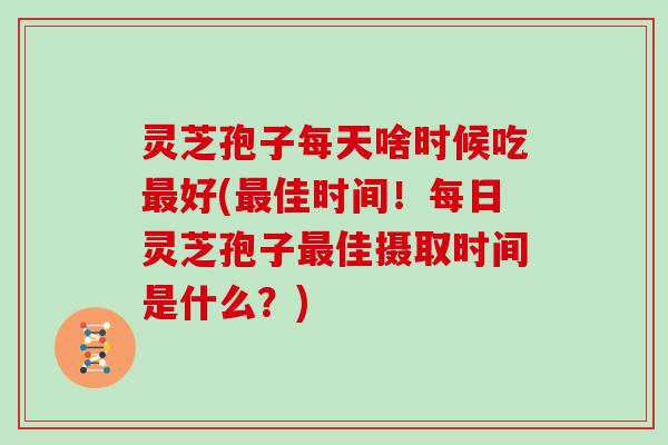 灵芝孢子每天啥时候吃最好(最佳时间！每日灵芝孢子最佳摄取时间是什么？)