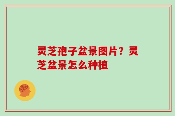 灵芝孢子盆景图片？灵芝盆景怎么种植