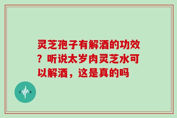 灵芝孢子有解酒的功效?听说太岁肉灵芝水可以解酒,这是真的吗