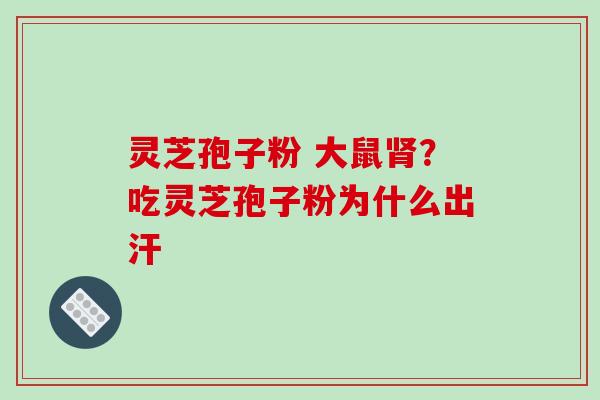 灵芝孢子粉 大鼠肾?吃灵芝孢子粉为什么出汗
