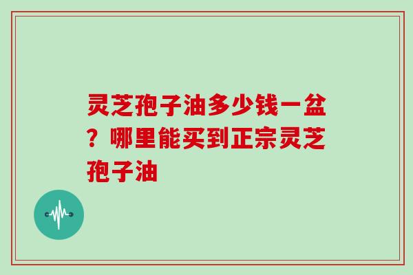 灵芝孢子油多少钱一盆?哪里能买到正宗灵芝孢子油