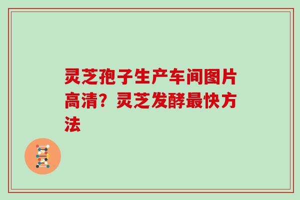 灵芝孢子生产车间图片高清?灵芝发酵最快方法