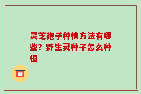 灵芝孢子种植方法有哪些？野生灵种子怎么种植