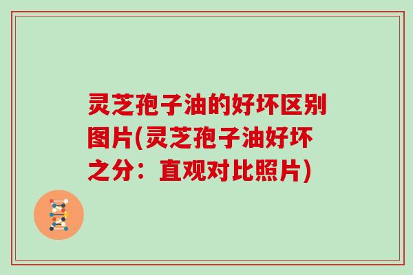 灵芝孢子油的好坏区别图片(灵芝孢子油好坏之分:直观对比照片)