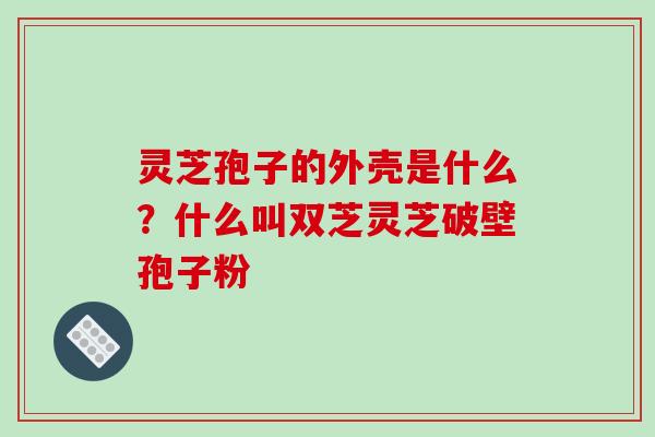 灵芝孢子的外壳是什么?什么叫双芝灵芝破壁孢子粉