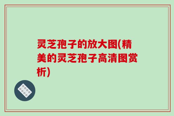 灵芝孢子的放大图(精美的灵芝孢子高清图赏析)