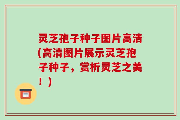 灵芝孢子种子图片高清(高清图片展示灵芝孢子种子，赏析灵芝之美！)