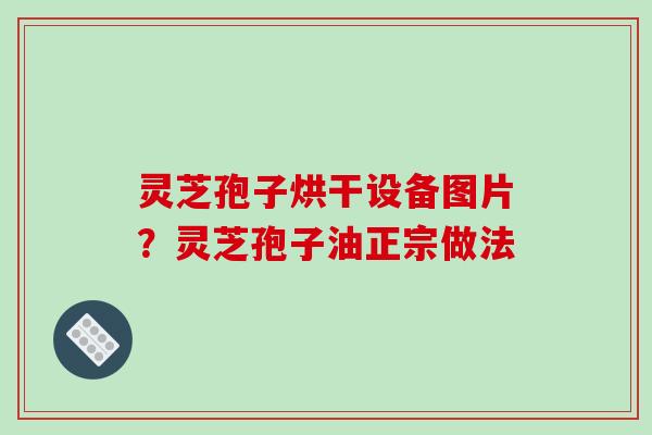 灵芝孢子烘干设备图片?灵芝孢子油正宗做法