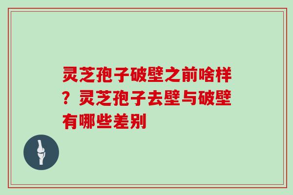 灵芝孢子破壁之前啥样?灵芝孢子去壁与破壁有哪些差别