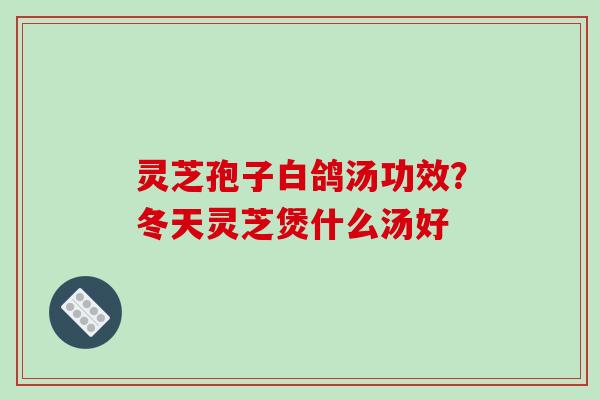 灵芝孢子白鸽汤功效?冬天灵芝煲什么汤好
