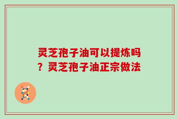 灵芝孢子油可以提炼吗?灵芝孢子油正宗做法