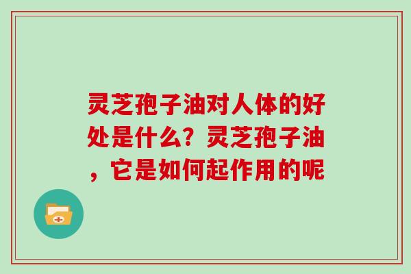 灵芝孢子油对人体的好处是什么？灵芝孢子油，它是如何起作用的呢