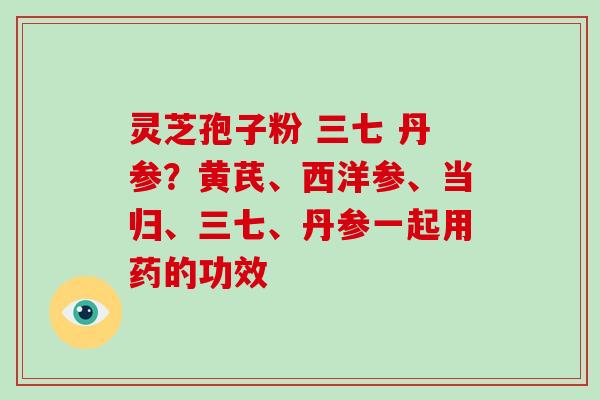 灵芝孢子粉 三七 丹参?黄芪、西洋参、当归、三七、丹参一起用药的功效