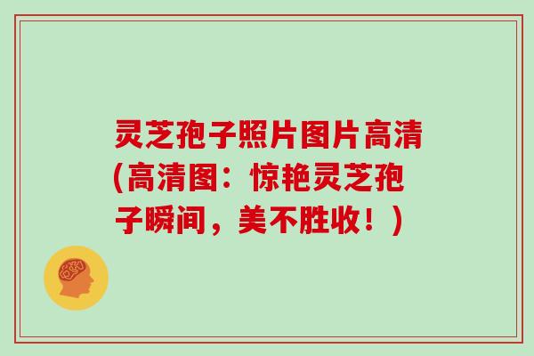 灵芝孢子照片图片高清(高清图：惊艳灵芝孢子瞬间，美不胜收！)
