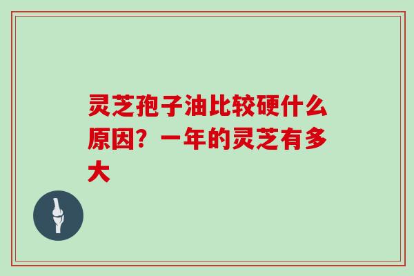 灵芝孢子油比较硬什么原因?一年的灵芝有多大
