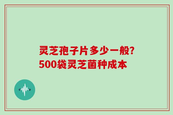 灵芝孢子片多少一般?500袋灵芝菌种成本