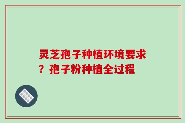 灵芝孢子种植环境要求?孢子粉种植全过程
