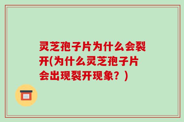 灵芝孢子片为什么会裂开(为什么灵芝孢子片会出现裂开现象?)