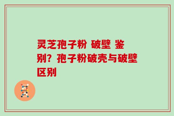 灵芝孢子粉 破壁 鉴别？孢子粉破壳与破壁区别