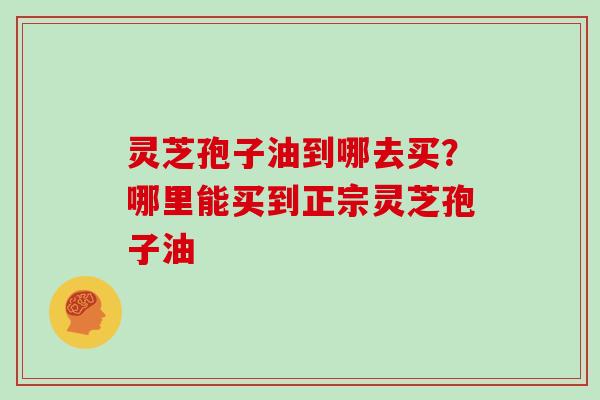 灵芝孢子油到哪去买?哪里能买到正宗灵芝孢子油