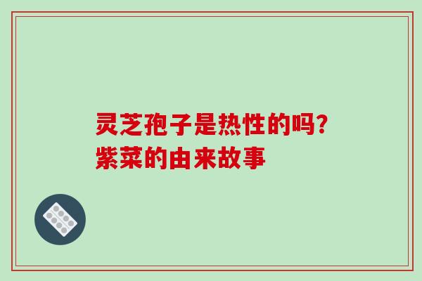 灵芝孢子是热性的吗?紫菜的由来故事