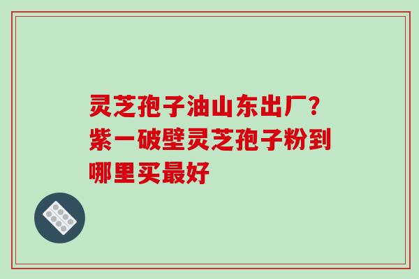 灵芝孢子油山东出厂？紫一破壁灵芝孢子粉到哪里买最好