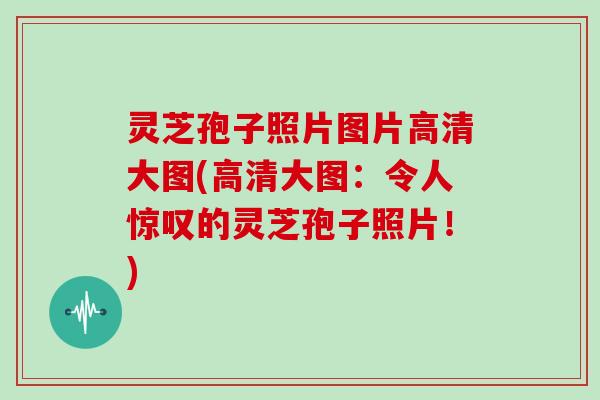 灵芝孢子照片图片高清大图(高清大图:令人惊叹的灵芝孢子照片!)
