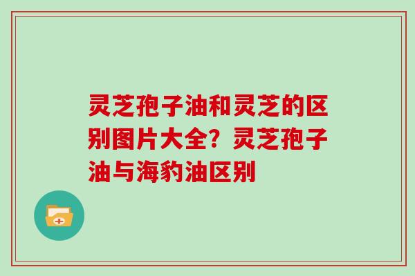 灵芝孢子油和灵芝的区别图片大全？灵芝孢子油与海豹油区别