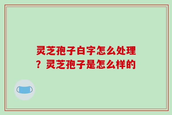 灵芝孢子白字怎么处理?灵芝孢子是怎么样的