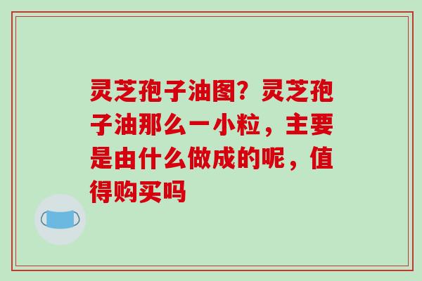 灵芝孢子油图？灵芝孢子油那么一小粒，主要是由什么做成的呢，值得购买吗