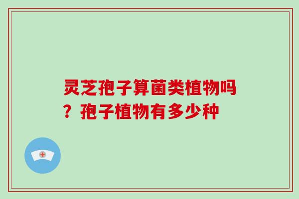 灵芝孢子算菌类植物吗?孢子植物有多少种