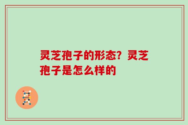 灵芝孢子的形态?灵芝孢子是怎么样的