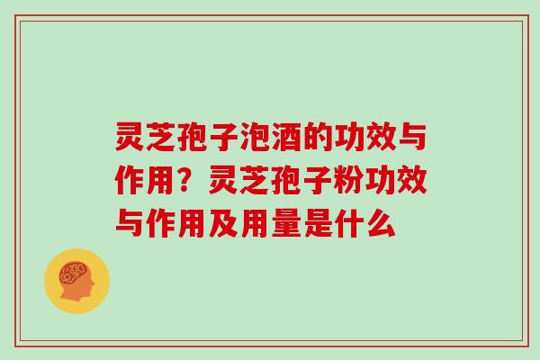 灵芝孢子泡酒的功效与作用?灵芝孢子粉功效与作用及用量是什么