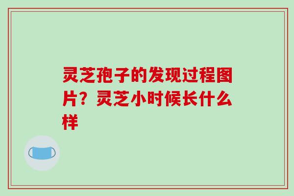 灵芝孢子的发现过程图片?灵芝小时候长什么样