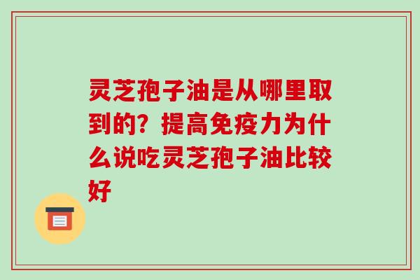 灵芝孢子油是从哪里取到的?提高免疫力为什么说吃灵芝孢子油比较好