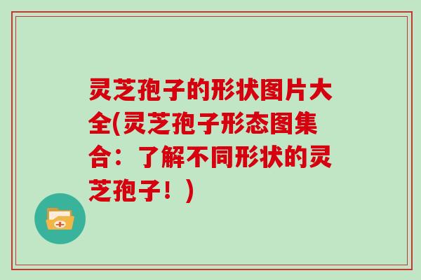 灵芝孢子的形状图片大全(灵芝孢子形态图集合:了解不同形状的灵芝孢子!)
