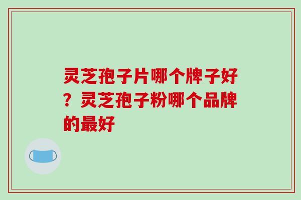 灵芝孢子片哪个牌子好?灵芝孢子粉哪个品牌的最好