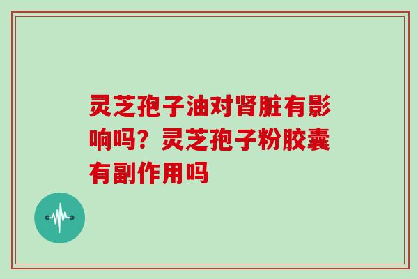 灵芝孢子油对肾脏有影响吗?灵芝孢子粉胶囊有副作用吗