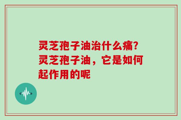 灵芝孢子油治什么痛?灵芝孢子油,它是如何起作用的呢