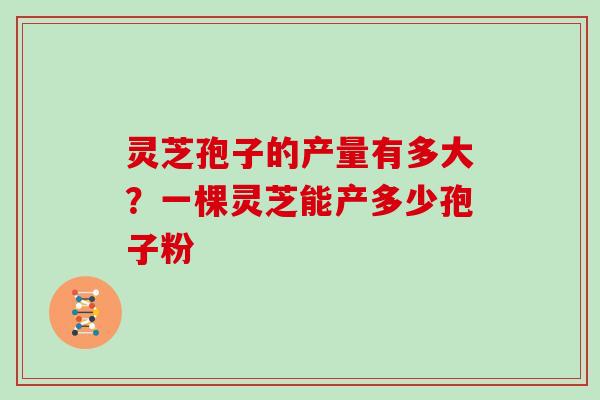 灵芝孢子的产量有多大?一棵灵芝能产多少孢子粉