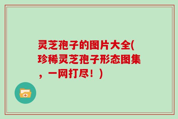 灵芝孢子的图片大全(珍稀灵芝孢子形态图集,一网打尽!)
