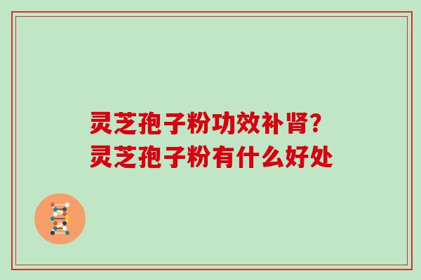 灵芝孢子粉功效补肾?灵芝孢子粉有什么好处