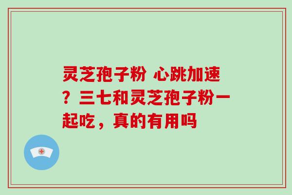 灵芝孢子粉 心跳加速？三七和灵芝孢子粉一起吃，真的有用吗