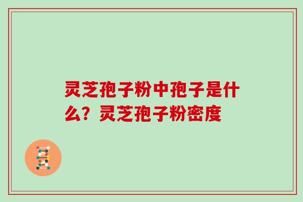 灵芝孢子粉中孢子是什么?灵芝孢子粉密度