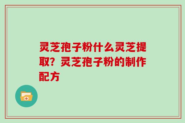 灵芝孢子粉什么灵芝提取?灵芝孢子粉的制作配方