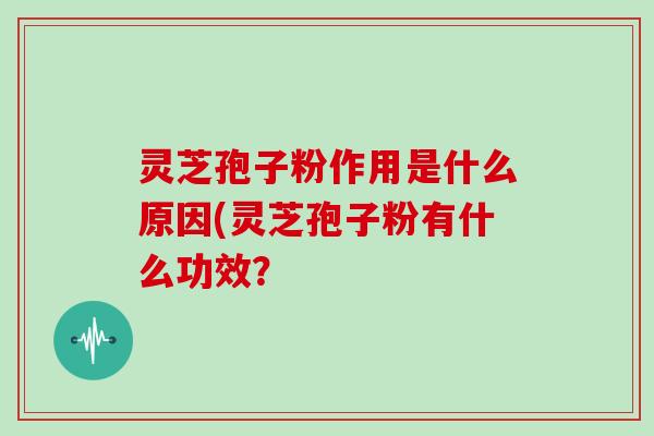 灵芝孢子粉作用是什么原因(灵芝孢子粉有什么功效？