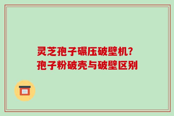 灵芝孢子碾压破壁机？孢子粉破壳与破壁区别