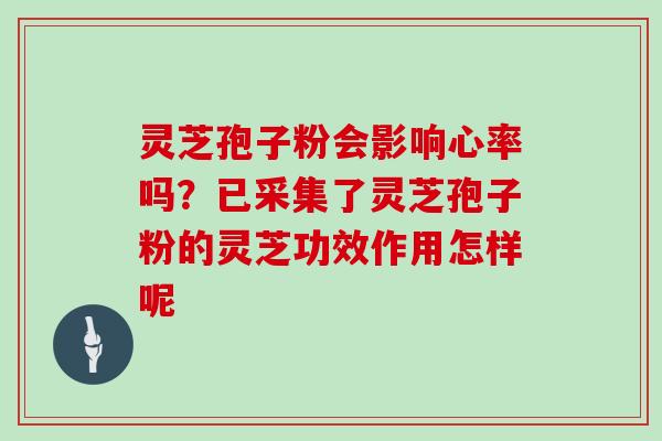 灵芝孢子粉会影响心率吗?已采集了灵芝孢子粉的灵芝功效作用怎样呢